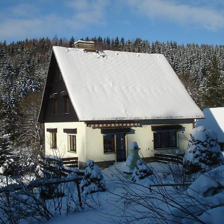 Erzgebirgsdomizil Am Schwartenberg Нойхаузен Екстериор снимка