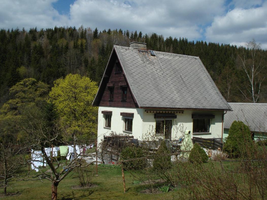 Erzgebirgsdomizil Am Schwartenberg Нойхаузен Екстериор снимка