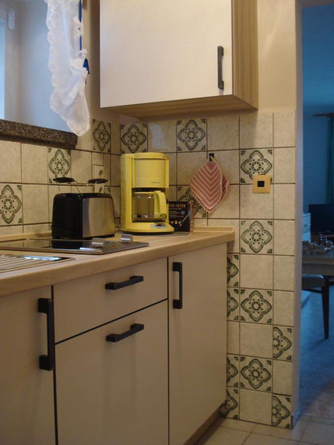 Erzgebirgsdomizil Am Schwartenberg Нойхаузен Екстериор снимка
