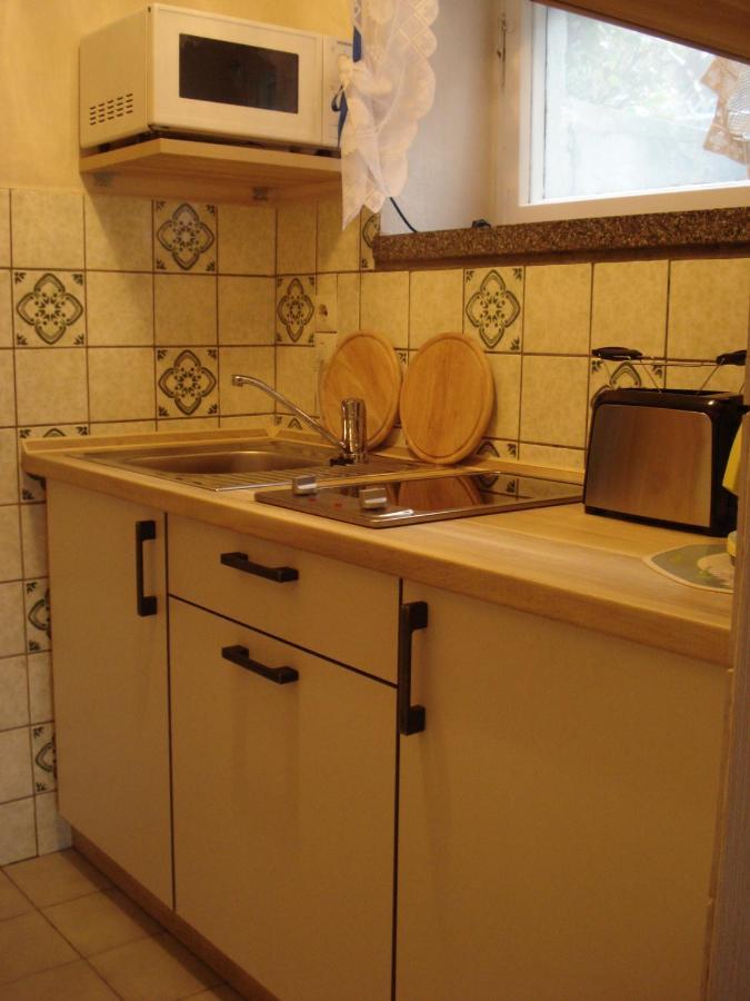 Erzgebirgsdomizil Am Schwartenberg Нойхаузен Екстериор снимка