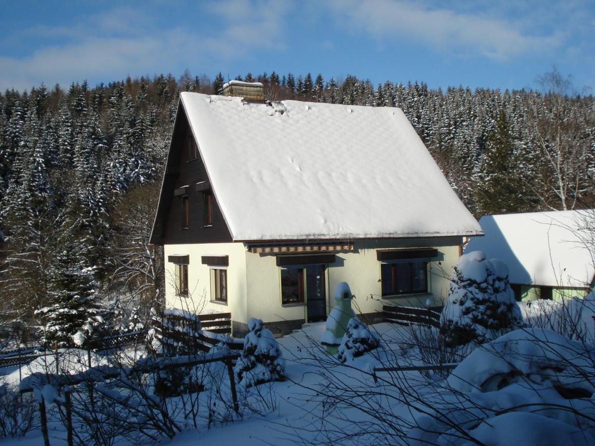 Erzgebirgsdomizil Am Schwartenberg Нойхаузен Екстериор снимка